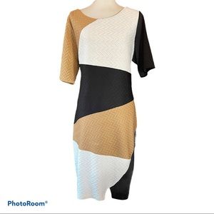 Monroe & Main | Color Block Stretch Dress